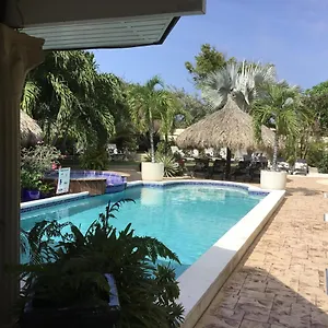Bananas Adults Only , Palm Beach Aruba
